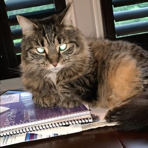 Meet your Posher, Kaitlyn